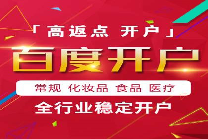百度竞价赚钱的实战案例分析